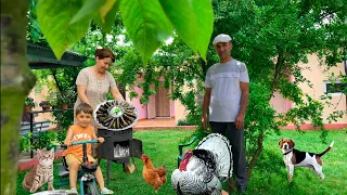 Village Kitchen ! Cooking Delicious Dolmades From Fresh Grape Leaves.