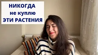 АНТИвишлист / РАСТЕНИЯ, которые мне НЕ нравятся