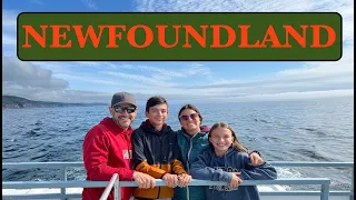 Exploring Newfoundland | Whale Watching, Road Trips and Majestic Landscapes!