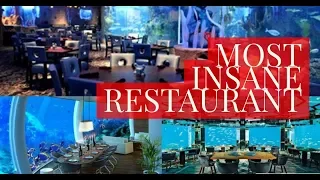 Unique restaurants | Top Craziest Restaurants That Actually Exist | by Best 10