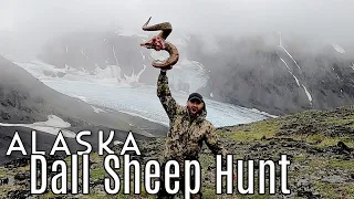 Amazing Alaska Dall Sheep Hunt