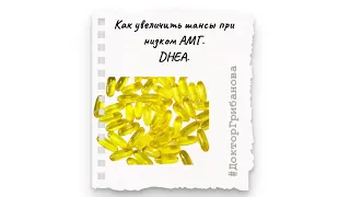 Как увеличить шансы при низком АМГ. ДГА DHEA.