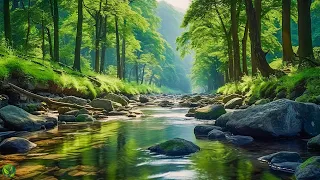 Relaxing music Relieves stress, Anxiety and Depression 🌿 Relaxing Music to Rest the Mind