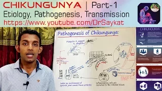 Chikungunya | Part 1 | Virus, Causes, Pathogenesis, Transmission | Dr. Saykat