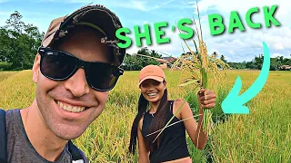 FILIPINO RICE HARVEST! 🇵🇭 Philippines