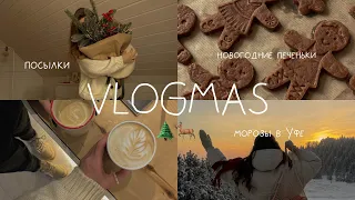 VLOGmas | 🌲🦌 морозные дни | снова открываю посылки | поднимаем новогоднее настроение