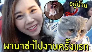 [ENG SUB] Pet Expo First Time Cat Afraid