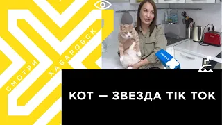 Хабаровский кот стал звездой TikTok