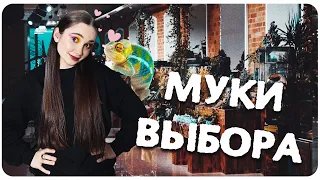 Как не ошибиться с выбором своего питомца? 🦎