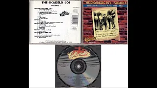 The Cicadelic 60's Volume 5