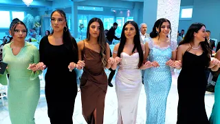 Imad Selim - عماد سليم - Miaser & Ceylan - Starja - Part 01 - 4K - Kurdische Hochzeit by #DilocanPro