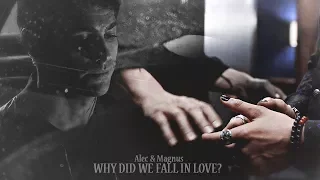 ● Alec & Magnus || Why did we fall in love?