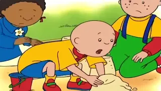 Caillou Juega en la Arena | Caillou en Español - WildBrain