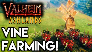 🔥Valheim ASHLANDS: VINE FARMING GUIDE!