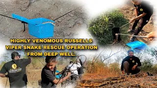 Highly Venomous Russells Viper Snake's Rescue Operation From Deep Well.