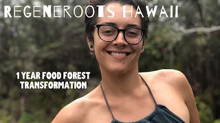 Hawaii Food Forest: 1 Year Transformation!