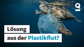 Das Problem mit dem Plastik: Was bringen Ozean-Plastik, Bio-Plastik und Co.? | Quarks