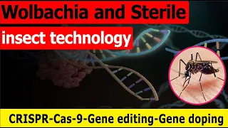 Wolbachia and Sterile insect technology | CRISPR-Cas-9-Gene editing | News Simplified | ForumIAS