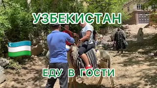 УЗБЕКИСТАН 🇺🇿На индивидуальном ТРАНСПОРТЕ 🫏 в ГОСТИ 🍇Угощают таджикским ПЛОВОМ