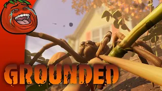 [Tomato] Grounded : Two small guys beat up ants w/ david