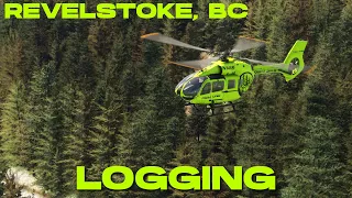 Revelstoke, BC Logging Mission, and Scenery HPG Airbus H145