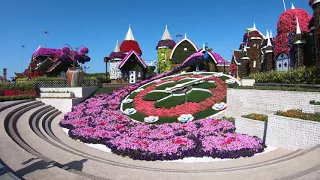 Dubai Miracle Garden (4K Video)