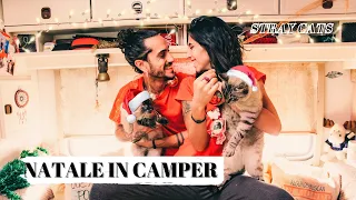 Stray Cats - Vita in camper full-time #6 NATALE 2020 IN CAMPER!🎄