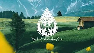 Best of alexrainbirdMusic // Vol. 7 (900k Subscribers Playlist) 🎉