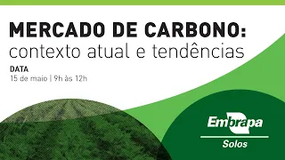 Mercado de Carbono: contexto atual e tendências