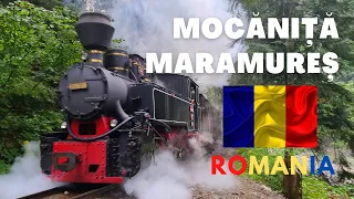 Steam trains in Romania | Mocănița Maramureș