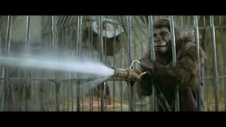 Planet of the Apes - It's A Madhouse