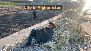 How to make Sugarcane in Afghanistan || famous  Sugarcane