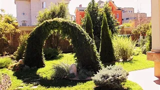 🌺Красивые идеи для дачи и сада / The best examples of garden design / A - Video