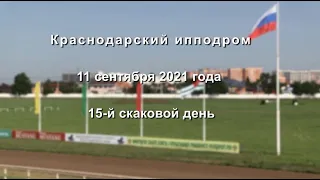 Видео 15 скаковой день   11 09 2021г  Краснодарский ипподром