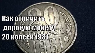 Как распознать дорогую монету 20 копеек 1981 года
