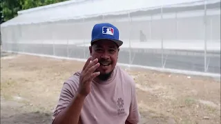 B T O HYDROPONICS GREENHOUSE at Magalang, Pampanga, Philippines.