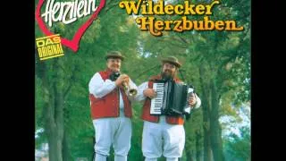 Die Wildecker Herzbuben mit Herzilein