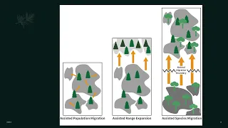 Climate Change, Assisted Migration, and Forest Policy in British Columbia