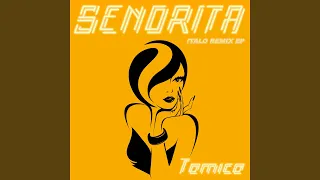 Señorita (Iker Sadaba Italo Remix Extended Instrumental)