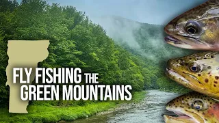 Questing for TROUT on the Streams of Central Vermont