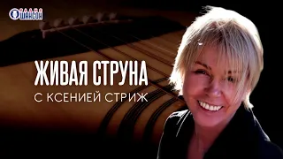 Катерина Голицына - Живая Струна