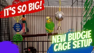 Pillow's New Cage | New Budgie Bird Cage Setup