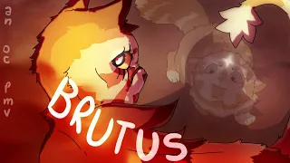 [FW] BRUTUS || Warrior Cats OC PMV || Salmonstar's rise to power