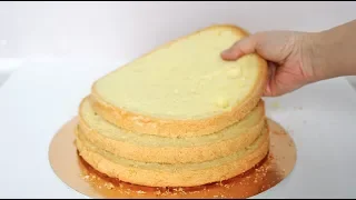 Delicious sponge cake