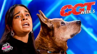 AMAZING Got Talent Singers, Animals, and More 🐶🎶    CGT Week 5