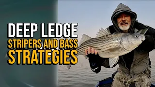 Deep Ledge Stripers and Bass Strategies #lakelanierfishing2024  #striperfishing