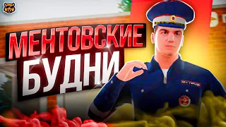 СЛЕЖУ ЗА ГОСНИКАМИ - AMAZING RP