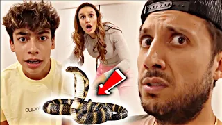 The Royalty Family | We Discovered a SNAKE in the Bedroom of Our Son