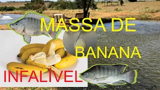 Massa de Banana P/ Pesca de Tilápia - Fácil e Infalível - O Segredo Foi Revelado #tilapia #videos