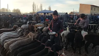 Yangiqõrģon tumani Begabod qõy bozori bugungi narhlar bilan tanishing 25.11.2023yil